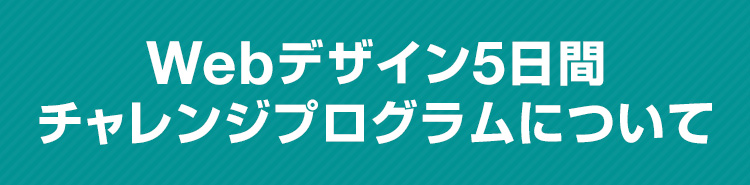 5日間チャレンジについて